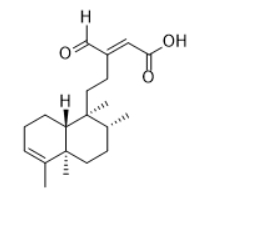CAS ：117620-72-1  16-Oxocleroda-3,13E-dien-15-oic acid  