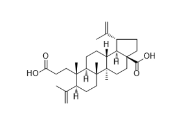 CAS ：36138-41-7  3,4-Secolupa-4(23),20(29)-diene-3,28-dioic acid  