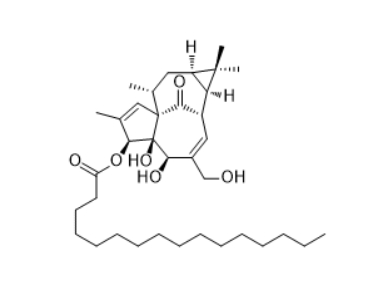  CAS ：52557-26-3   Ingenol 3-palmitate  植物提取物