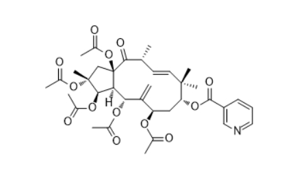 CAS ：210108-85-3  Jatrophane 1   植物提取物
