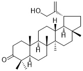 CAS ：72944-06-0  30-Hydroxylup-20(29)-en-3-one