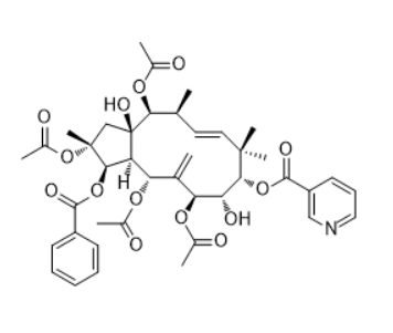 CAS ：210108-89-7    Jatrophane 5    植物提取物