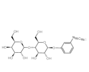 β-D-脂吡喃糖基苯基异硫氰酸酯	  