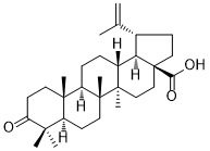 CAS ：4481-62-3   Betulonic acid  桦木酮酸