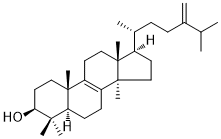 CAS ：6890-88-6  Eburicol  植物提取物