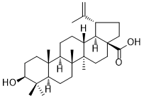 CAS ：472-15-1  Betulinic acid  白桦脂酸   中间体生产