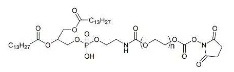 DMPE-PEG-NHS