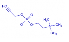 PPC、丙-2-炔基磷脂酰胆碱，prop-2-ynyle choline phosphate
