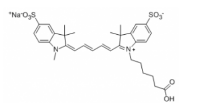 Sulfo-Cy5 Carboxylic acids