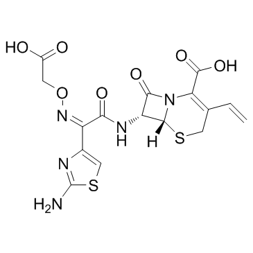 CAS:79350-37-1  Cefixime	   头孢克肟 三水合物
