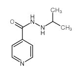 CAS:54-92-2  Iproniazid	异烟酸2-异丙基酰肼