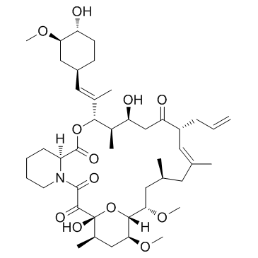 CAS:104987-11-3  Tacrolimus (FK506)	   他克莫司