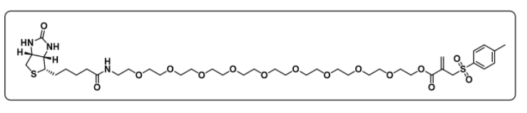 Biotin-PEG10-IC
