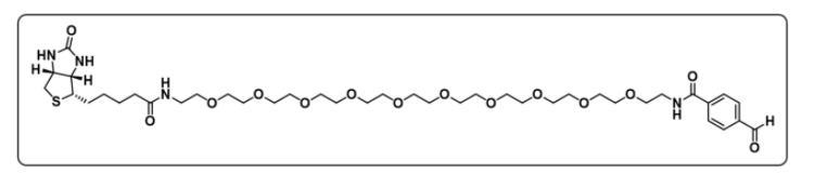 生物素-十聚乙二醇-苯甲醛