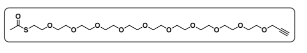 乙酰硫酯-十聚乙二醇-炔