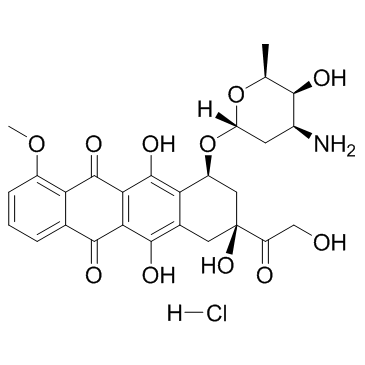 CAS:25316-40-9	Doxorubicin (hydrochloride)	盐酸阿霉素    原研药中间体供应 