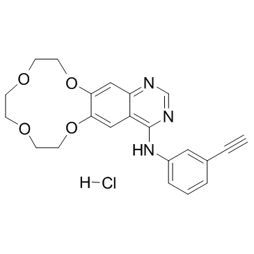 CAS:1204313-51-8	Icotinib (Hydrochloride)	凯美纳   新药中间体工艺 