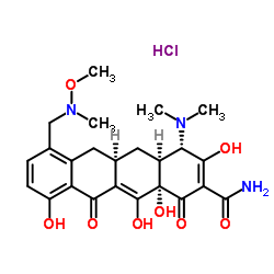 CAS:1035979-44-2	Sarecycline (hydrochloride)	工艺放大