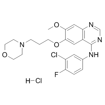CAS:184475-55-6	Gefitinib (hydrochloride)	公斤级中间体