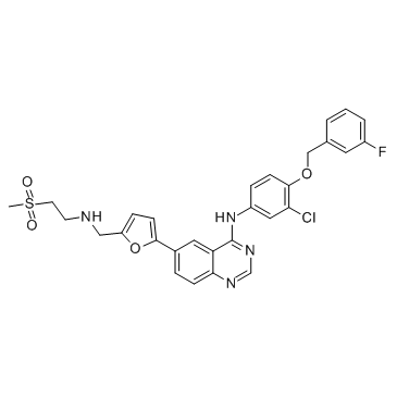 CAS:231277-92-2	Lapatinib	拉帕替尼  中试供应 