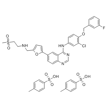 CAS:388082-77-7	Lapatinib (ditosylate)  	二对甲苯磺酸拉帕替尼  路线研究 