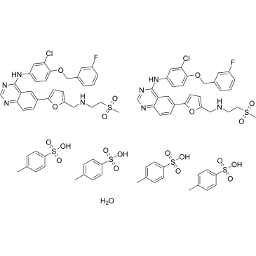 CAS:388082-78-8	Lapatinib (ditosylate monohydrate)	二甲苯磺酸拉帕替尼  化合物合成 