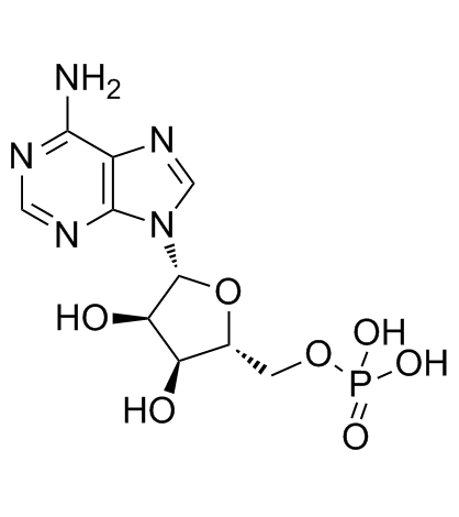 CAS:61-19-8	Adenosine monophosphate	5'-腺嘌呤核苷酸      工艺放大