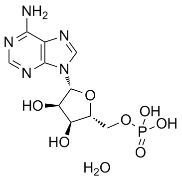 CAS:18422-05-4	Adenosine 5'-monophosphate (monohydrate)  	腺苷-5'-磷酸        线路优化