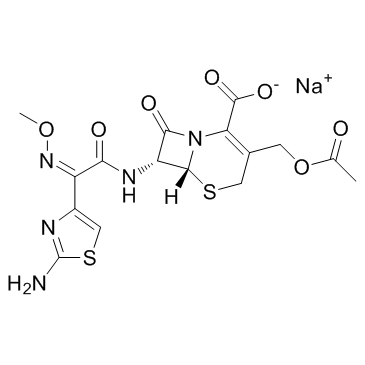 CAS:64485-93-4	Cefotaxime (sodium)  	头孢噻肟钠  规模供应