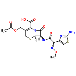 CAS:63527-52-6	Cefotaxime	头孢噻肟  原料药供应 
