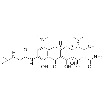 CAS:220620-09-7 Tigecycline 替加环素 中试供应 CAS:220620-09-7 Tigecycline 替加环素 中试供应