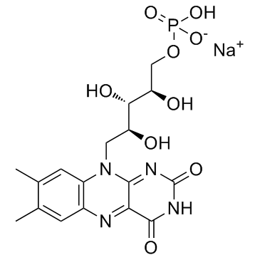 CAS:130-40-5	Riboflavin (phosphate sodium)	核黄素磷酸钠     化合物优化