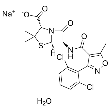 CAS:13412-64-1	Dicloxacillin (Sodium hydrate)	双氯西林钠    工艺放大