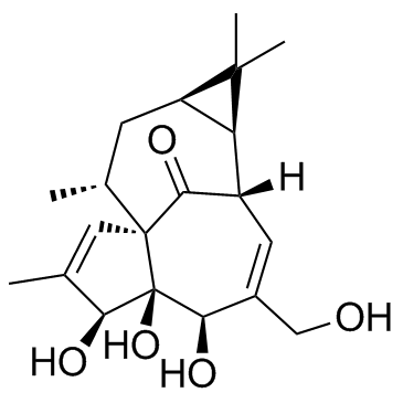CAS:30220-46-3	Ingenol	巨大戟萜醇     工艺放大