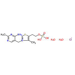 CAS:273724-21-3	Thiamine monophosphate (chloride) (dihydrate)	一磷酸硫胺氯化物 二水合物      药物分子开发