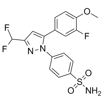 CAS:169590-41-4	Deracoxib	    地拉考昔     药物分子开发