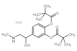CAS:64019-93-8	Dipivefrin (hydrochloride)	盐酸地匹福林  公斤级  