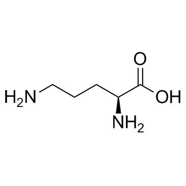CAS:70-26-8	L-Ornithine	鸟氨酸   规模供应 