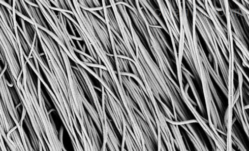 compound Nanofiber membrane      齐岳定制