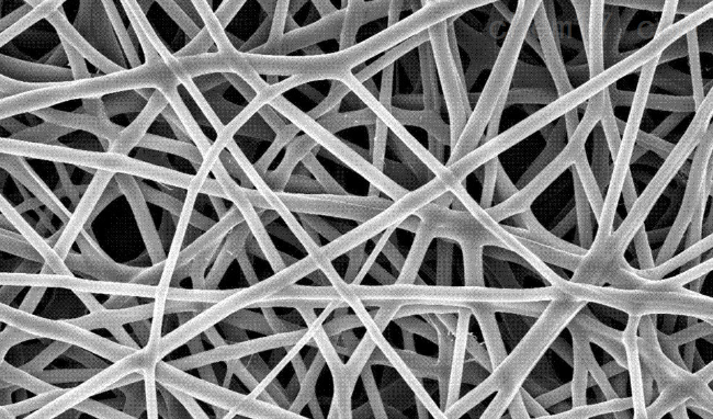 collagen/chitosan compound nanofiber membrane      齐岳定制