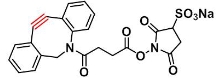 CAS  : 1379761-19-9    Sulfo-DBCO-NHS ester   硫磺-二苯并环辛炔-琥珀酰亚胺酯