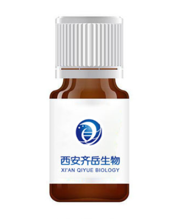 戊二醛交联纳米纤维膜的基本信息