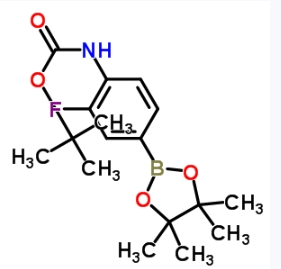 CAS:262444-42-8	2-氟-4-(4,4,5,5-四甲基-1,3,2-二氧代硼戊烷-2-基)苯基氨基甲酸叔丁酯