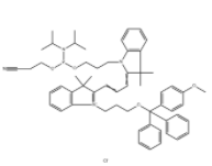 CY3-亚磷酰胺	  