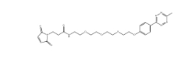 Methyltetrazine-PEG4-maleimide，1802908-02-6