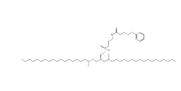 DSPE-PDP，144735-79-5