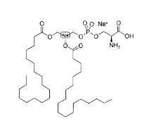 二硬酯酰磷脂酰丝氨酸钠( DSPS)，321595-13-5