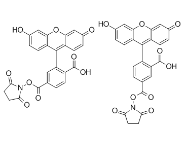 5(6)-FAM, SE 5(6)-羧基荧光素琥珀酰亚胺酯CAS号：117548-22-8
