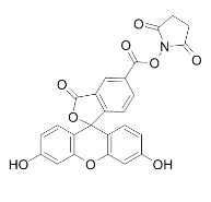 5-FAM,SE 5-羧基荧光素琥珀酰亚胺酯 CAS号：92557-80-7