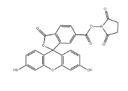 6-FAM,SE 6-羧基荧光素琥珀酰亚胺酯 CAS号92557-81-8